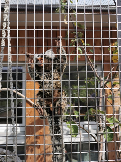 Putzwochenausflug Wolfsgraben24