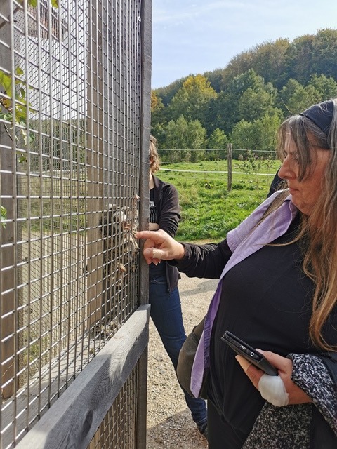 Putzwochenausflug Wolfsgraben25