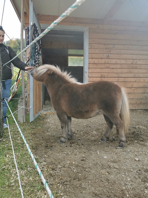 Putzwochenausflug Wolfsgraben28