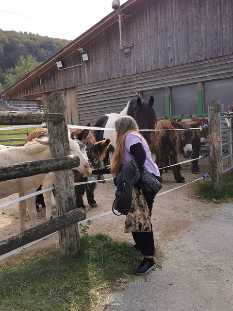 Putzwochenausflug Wolfsgraben34