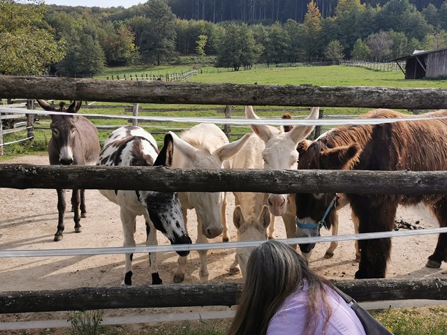 Putzwochenausflug Wolfsgraben35