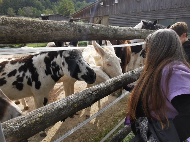 Putzwochenausflug Wolfsgraben36