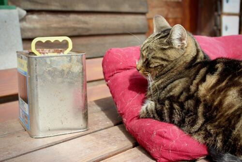 Putzwochenausflug Wolfsgraben37