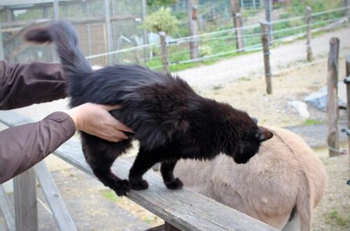 Putzwochenausflug Wolfsgraben38