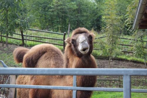 Putzwochenausflug Wolfsgraben39