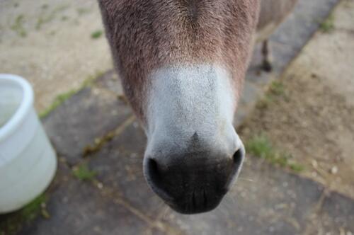 Putzwochenausflug Wolfsgraben40