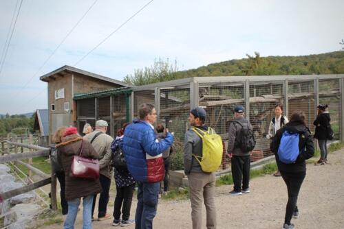 Putzwochenausflug Wolfsgraben44