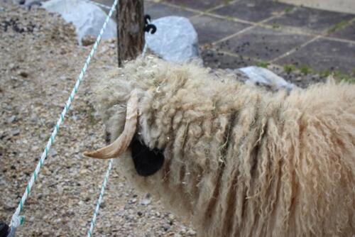 Putzwochenausflug Wolfsgraben47