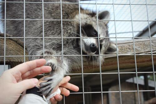 Putzwochenausflug Wolfsgraben48