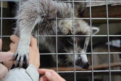 Putzwochenausflug Wolfsgraben49