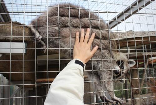 Putzwochenausflug Wolfsgraben50