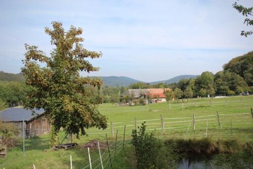 Putzwochenausflug Wolfsgraben51