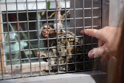 Putzwochenausflug Wolfsgraben52