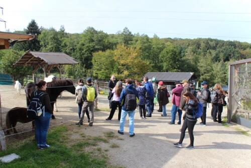 Putzwochenausflug Wolfsgraben54