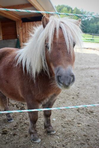 Putzwochenausflug Wolfsgraben55