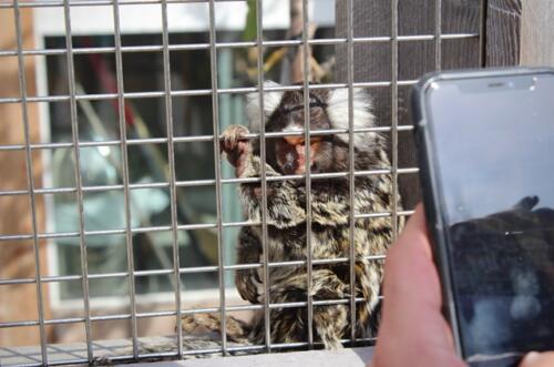 Putzwochenausflug Wolfsgraben56