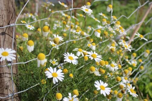 Putzwochenausflug Wolfsgraben57