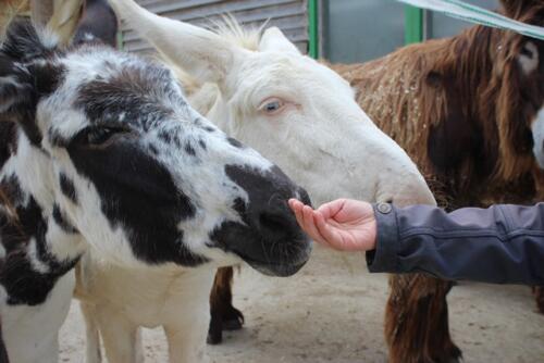 Putzwochenausflug Wolfsgraben60