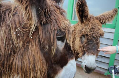 Putzwochenausflug Wolfsgraben61