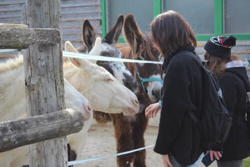 Putzwochenausflug Wolfsgraben64