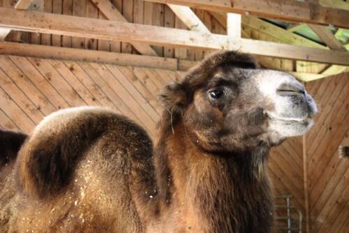 Putzwochenausflug Wolfsgraben67