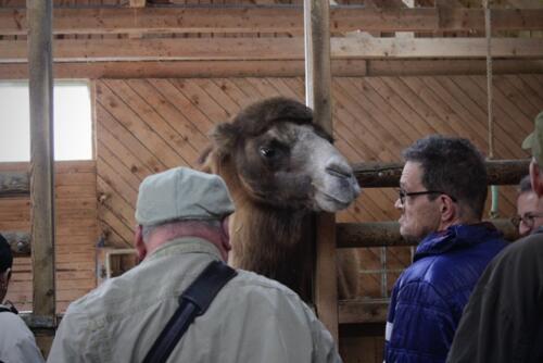 Putzwochenausflug Wolfsgraben68