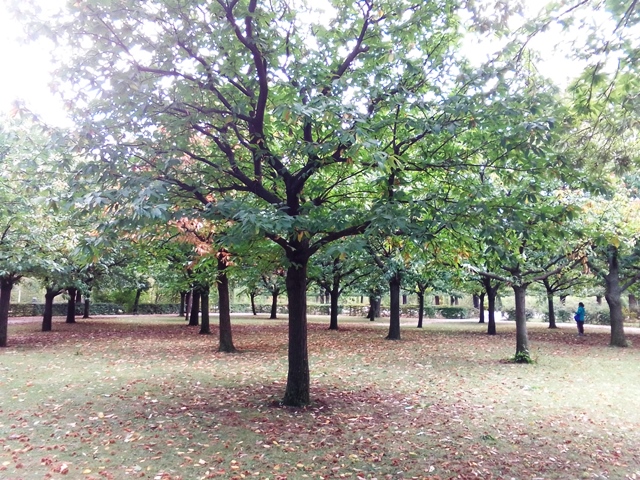 Schönbrunn 26.09.2020