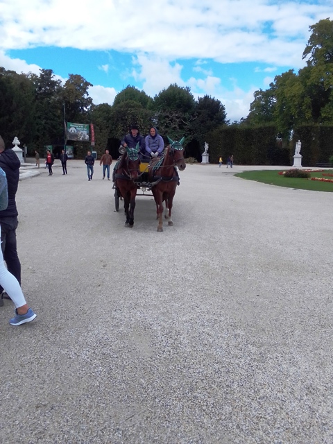Schönbrunn 26.09.2020
