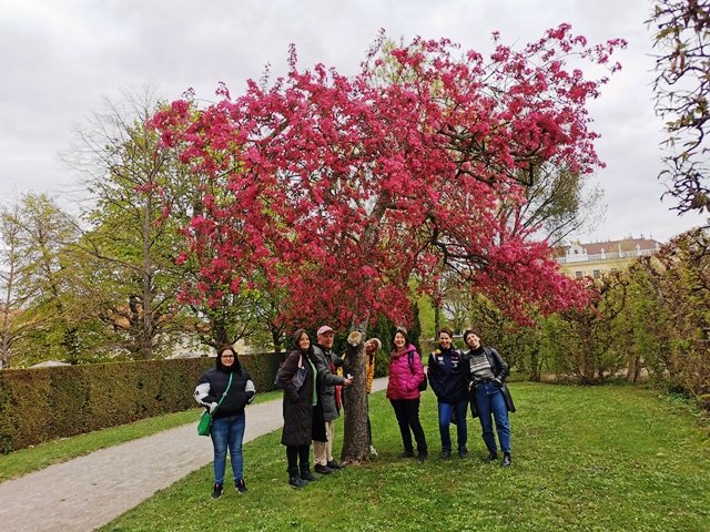 Spazieren in Schönbrunn 16.04.2022