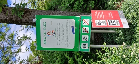 SetagayaPark20240518001