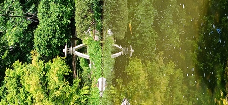 SetagayaPark20240518005