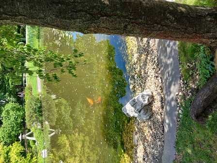 SetagayaPark20240518007