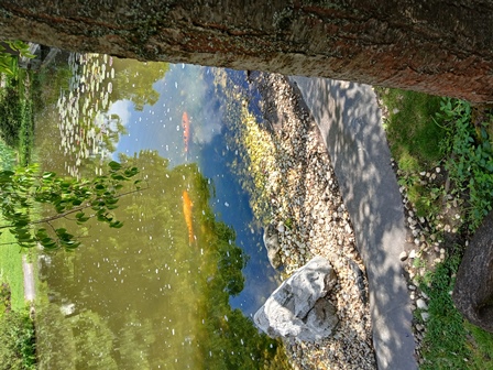 SetagayaPark20240518008