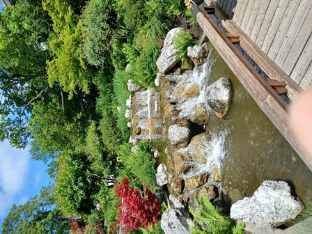 SetagayaPark20240518009