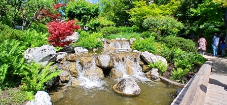 SetagayaPark20240518012