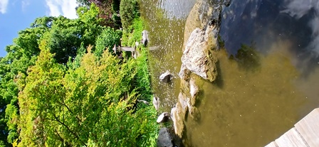 SetagayaPark20240518013