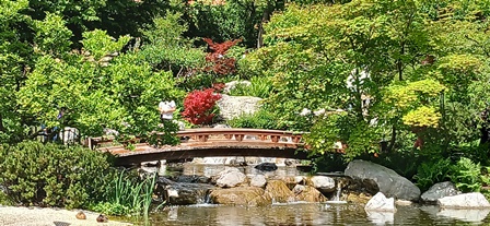 SetagayaPark20240518016