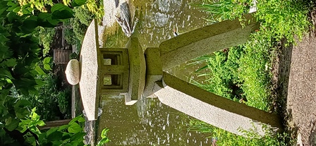 SetagayaPark20240518017