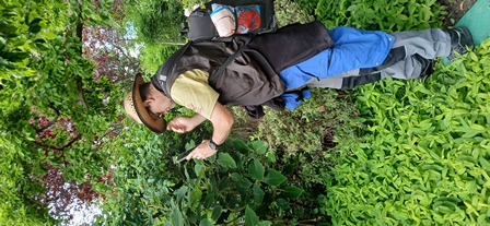 SetagayaPark20240518018