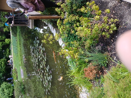 SetagayaPark20240518020