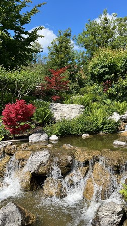 SetagayaPark20240518026