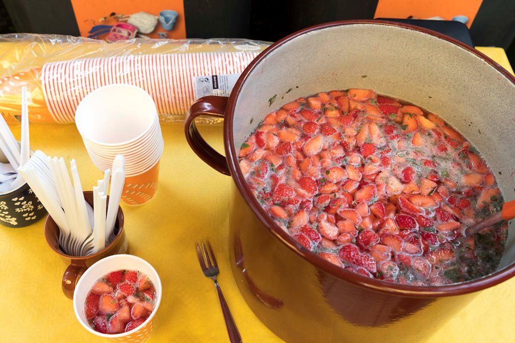 Sommerfest_Regenbogenhaus_2023_08