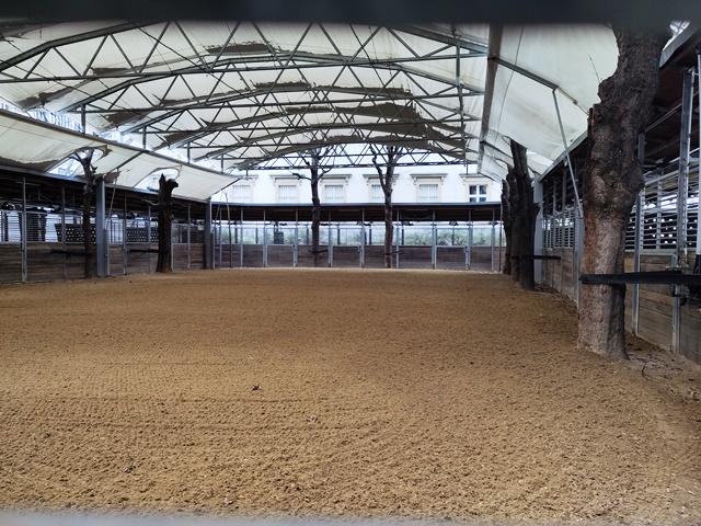 SpanischeHofreitschule010