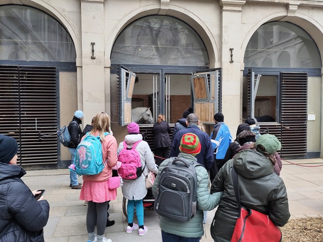 SpanischeHofreitschule013