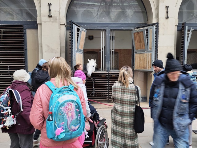 SpanischeHofreitschule014