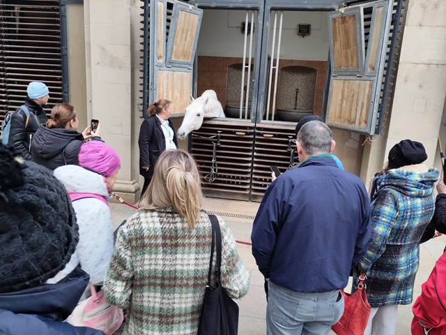 SpanischeHofreitschule015