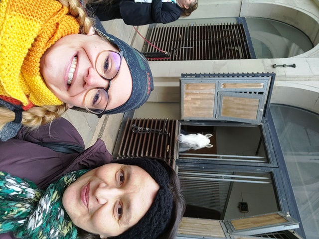 SpanischeHofreitschule017