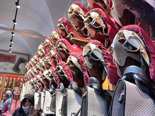 SpanischeHofreitschule020