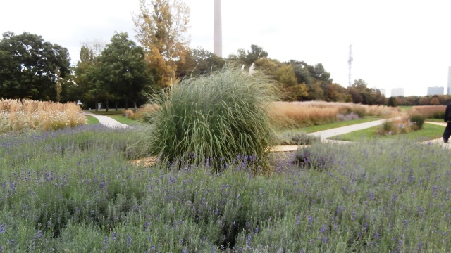 Spaziergang Donauinsel 20.9.2021