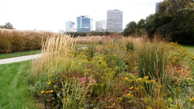 Spaziergang Donauinsel 20.9.2021